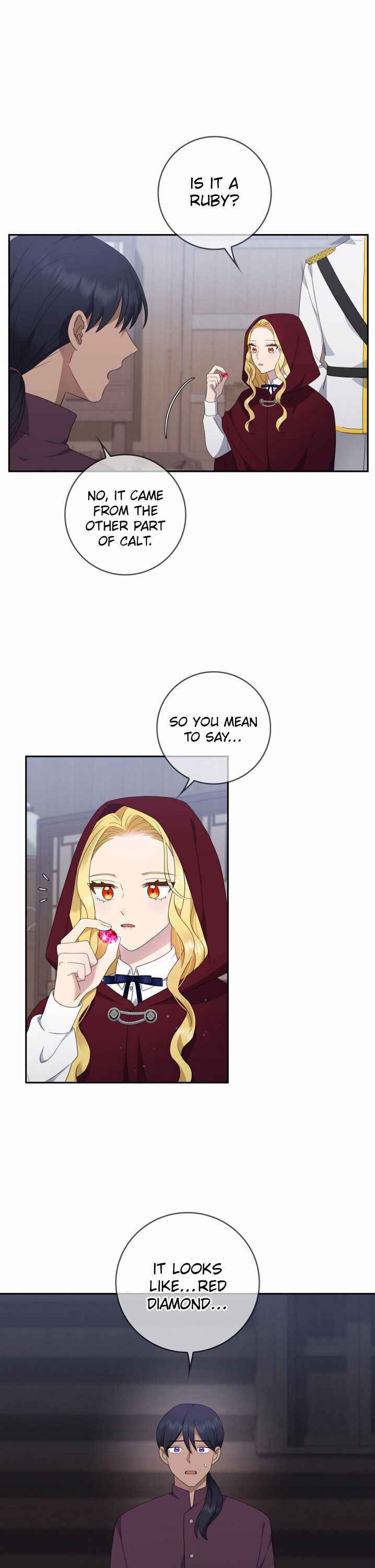 The Two-Faced Princess Chapter 17 3